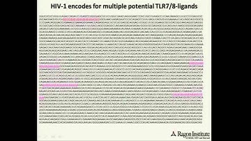 Jerome Zack (UCLA) & Judy Chang (Ragon Institute) | Center for AIDS Research