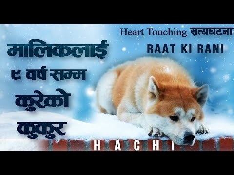 Hachi: A Dog's Tale Explained (2009) Imdb -- 8.9
