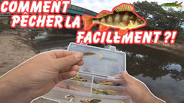 Quelle profondeur pour pêcher la perche ?