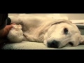 Theodore Shapiro - It All Runs Together (Soundtracks In Motion)