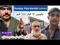 Lahore Aseel and Desi Sunday Birds Market Tour | Prices of Birds | Aseel Prices in Lahore
