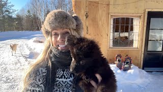 What Did I Name My New Puppy 