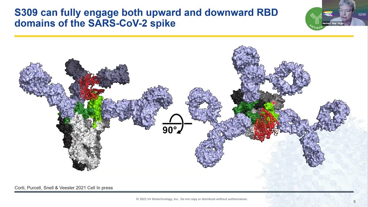 Моноклональные антитела к консервативным вирусным эпитопам для текущих и будущих пандемий | 9 июн...