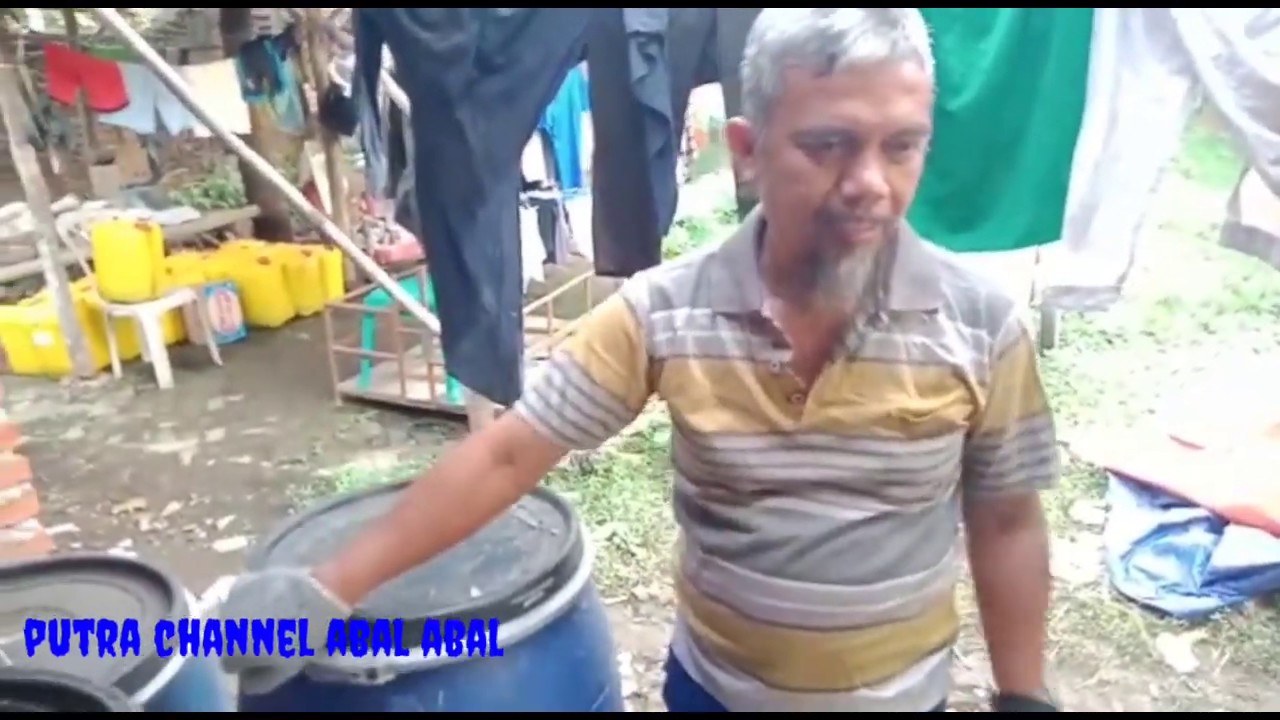 Cara Membuat Pakan Fermentasi Untuk Kambing 
