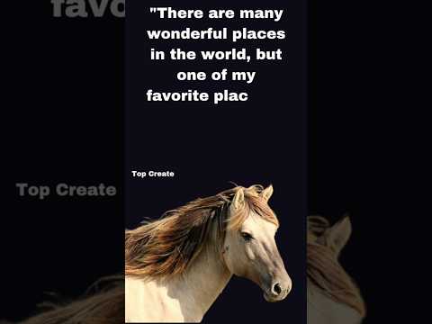 Video: Famous Horse Quotes