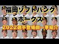 【プロ野球】福岡ソフトバンクホークス2022年シリーズ、選手が登場曲に使用している曲・アーティストを一挙ご紹介【まとめ・ランキング・雑学】