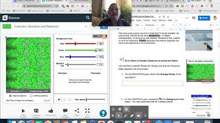 Gizmos- Mutation and Selection SEL Warm-up