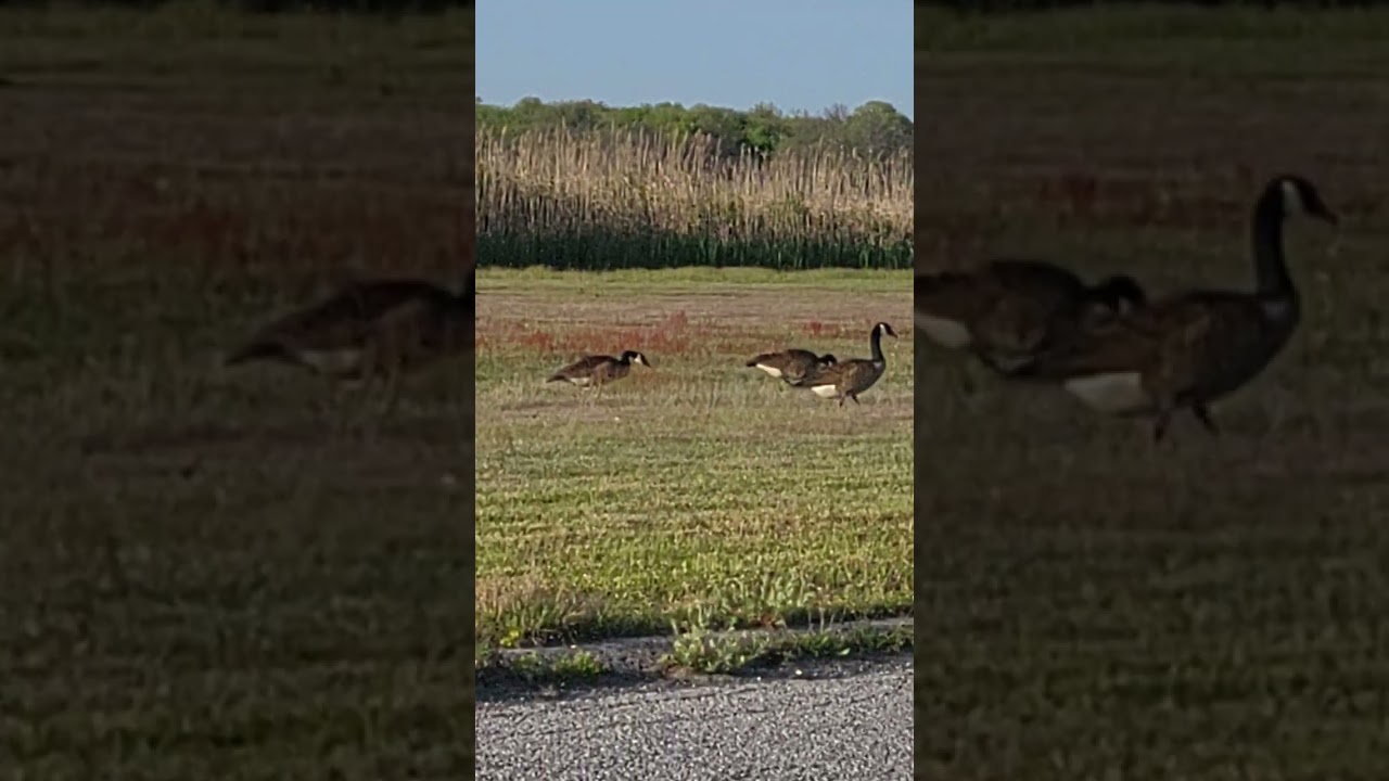 Heckscher State Park long Island ny