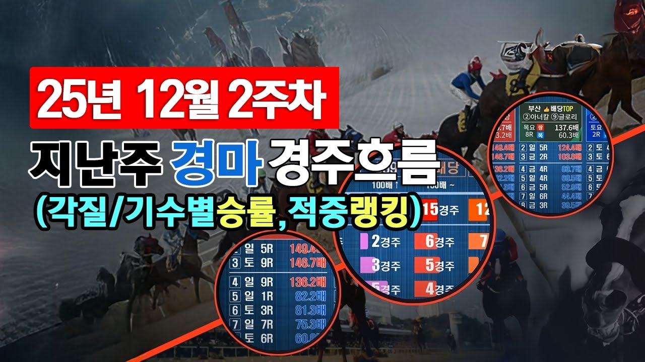 2025년 12월 2주차 경주흐름 및 적중랭킹TOP
