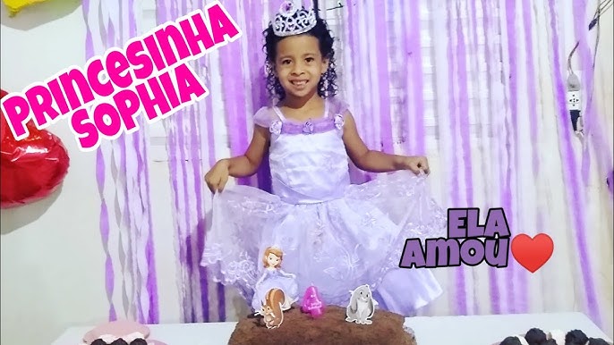 Aniversário Princesa Sofia 1 ano da Agatha Sofia 