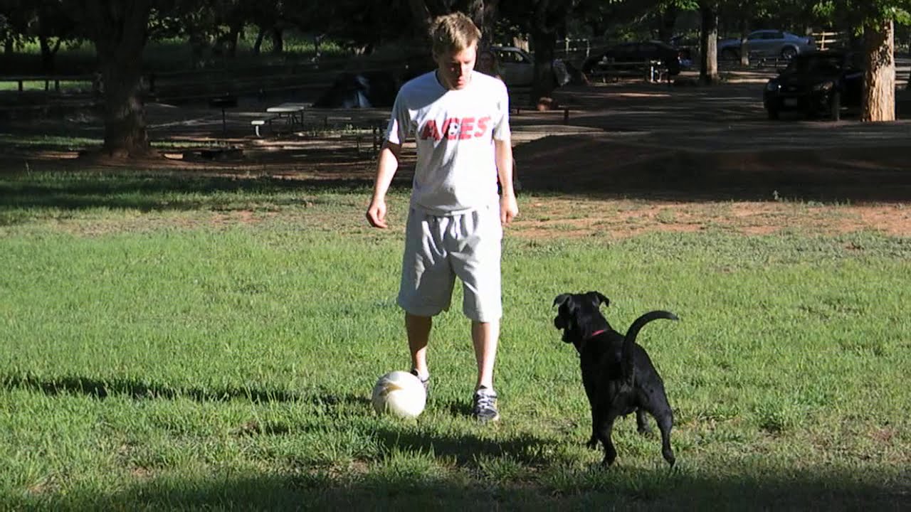 Mr. Makaveli's tenacious defense.