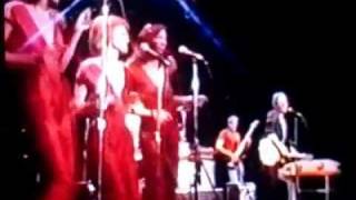 Watch Randy Vanwarmer Down Like A Rock video