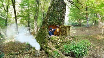 Building a Secret Underground Shelter Deep Inside Big Oak Tree, bushcraft, survival