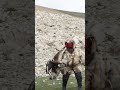 Kazakh Eagle Hunters in Mongolia #shorts