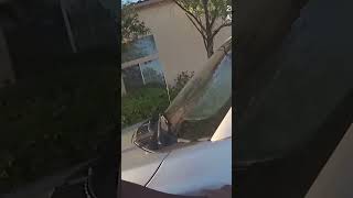 Bodycam: Tupac's alleged killer arrested #shorts