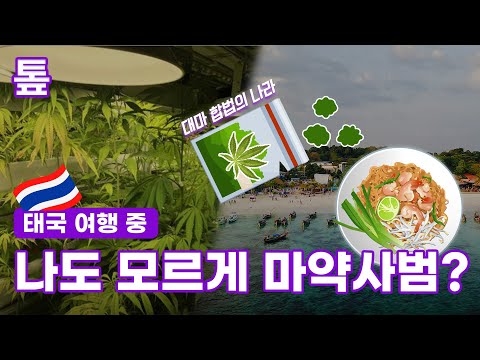 [톺뉴스] 태국 <strong>여행</strong> 중 <strong>나도</strong> 모르게 마약사범이 될 수 있다고?