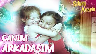 Çilekin Peri Arkadaşı Sihirli Annem