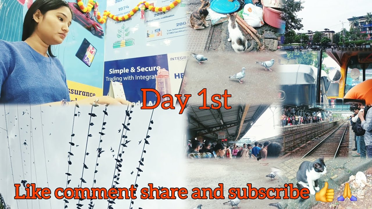 This is my first vlog please like comment and subscribe my channel 😊 🫶🙏 ...