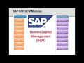 SAP HCM Modules #SAP Technologies