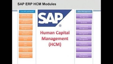 SAP HCM Modules #SAP Technologies