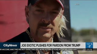 Joe Exotic expecting pardon from Trump