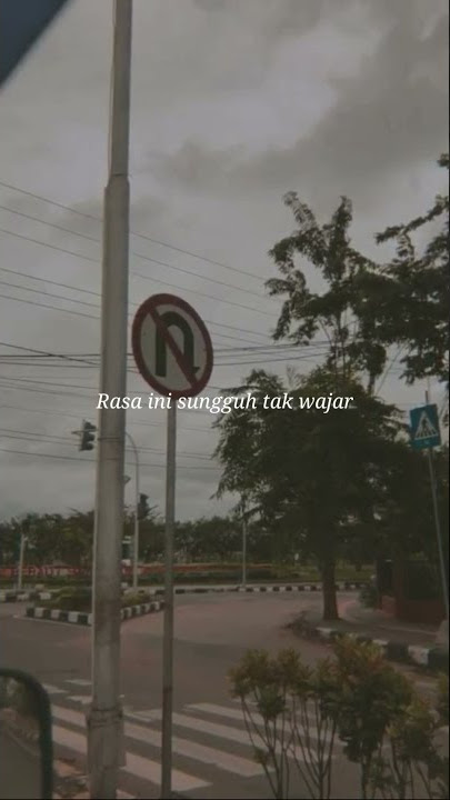 Story WA : The Virgin - Cinta Terlarang