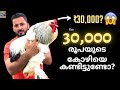 Brahma chicken ബ്രഹ്മ കോഴി fancy hen Kerala pet | hen farm | fancy chicken | chicken | Petstation