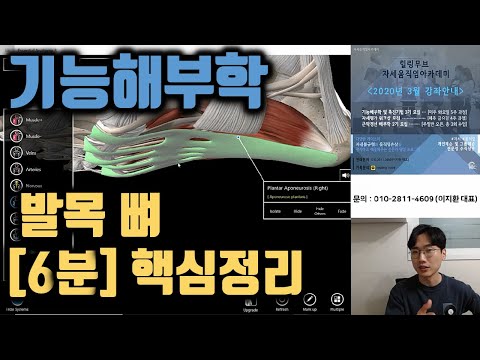 6-1. [3D해부학 어플] 발목 뼈 핵심정리 [6분 요약] | 기능해부학 및 촉진기법 |힐링무브 |essential anatomy