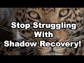 Stop Struggling With Shadow Recovery! (Bonus 83 second ISO crash course! )