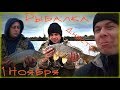 Сазан и Карпик то что надо ! Рыбалка в Маяках на Реке Днестр,1 Ноября #AM_Video_2018