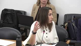 26-02-2026 - CPI-INEM | Audição de Ana Margarida de Brito Pedroso | Marina Gonçalves 2ª