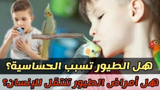 هل تربية الطيور بالمنزل تسبب الحساسية؟ ?هل أمراض طيور الزينة تنتقل للإنسان؟