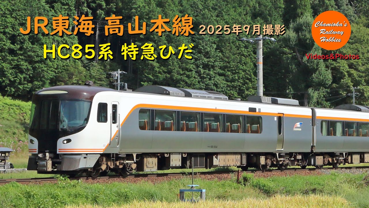 も*る様 JR東海　特急ワイドビューひだ　キハ85 高山線　関西線　鉄道模型　N JR東海 高山本線 HC85系 特急｢ひだ｣（2025年9月撮影）-Railway Videos