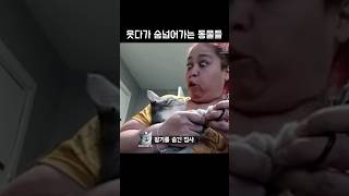 웃다가 숨넘어가는 동물들