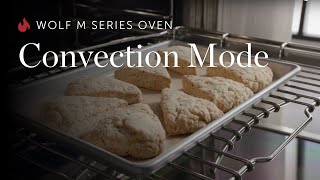 Wolf M Series Oven - Convection Mode