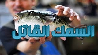 وثائقي | سمك الفوغــو(القاتل) مذاق لا يقاوم