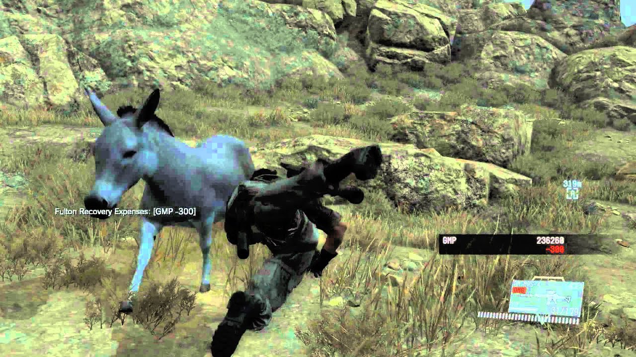 Donkey Punch YouTube