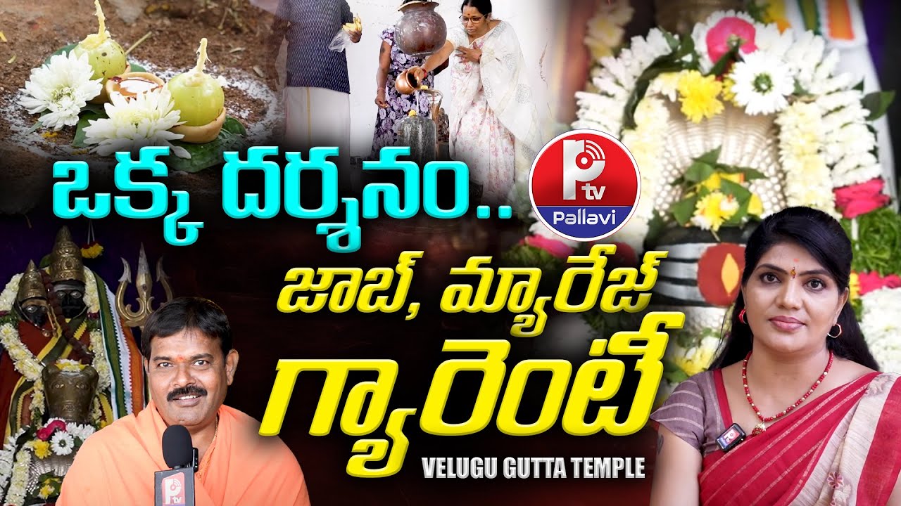 ఒక్క దర్శనం.. జాబ్,మ్యారేజ్ గ్యారెంటీ | Mallikarjuna Swamy Temple | Velugugutta | Uppal | P TV