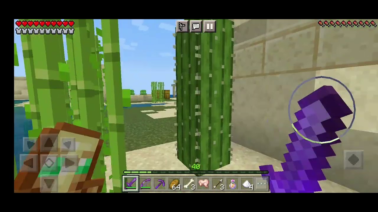 In Minecraft werde ich nie sterben