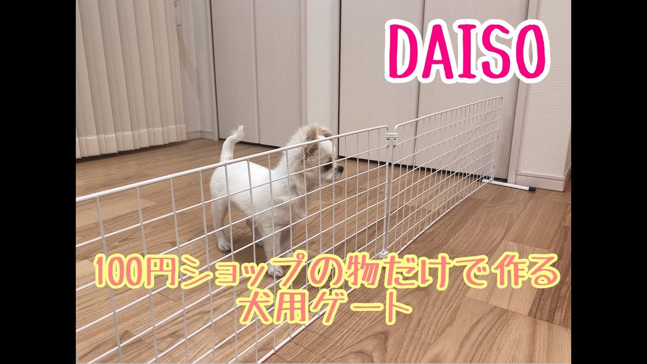 100均daisoの物だけで作る 犬用ゲートの作り方 Youtube