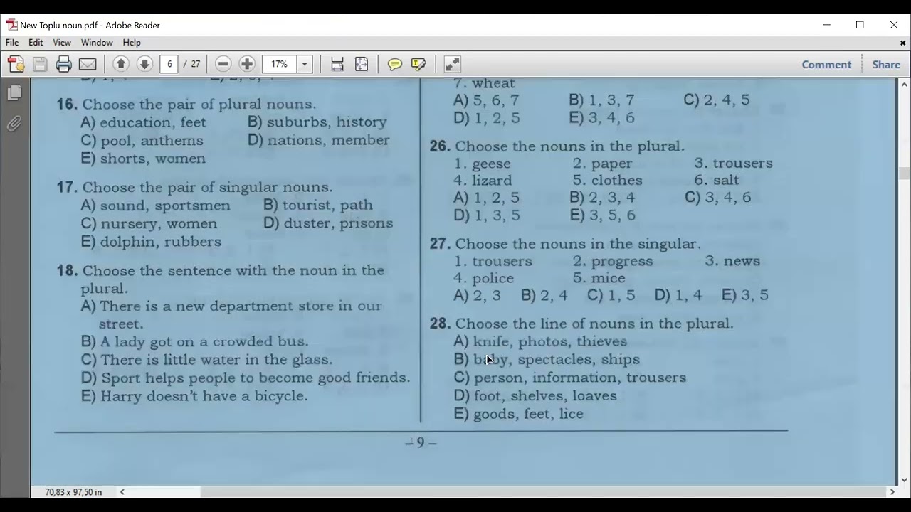 Yeni toplu İngilis dili, Noun - Plural, Singular, Countable, Uncountable Nouns