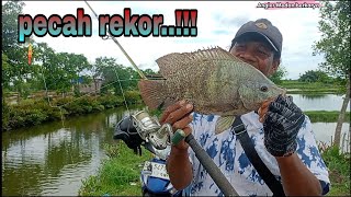 Breaking the record ‼️The fish are all monsters #fishing #wak itam #trending #fishing #viral #sna...