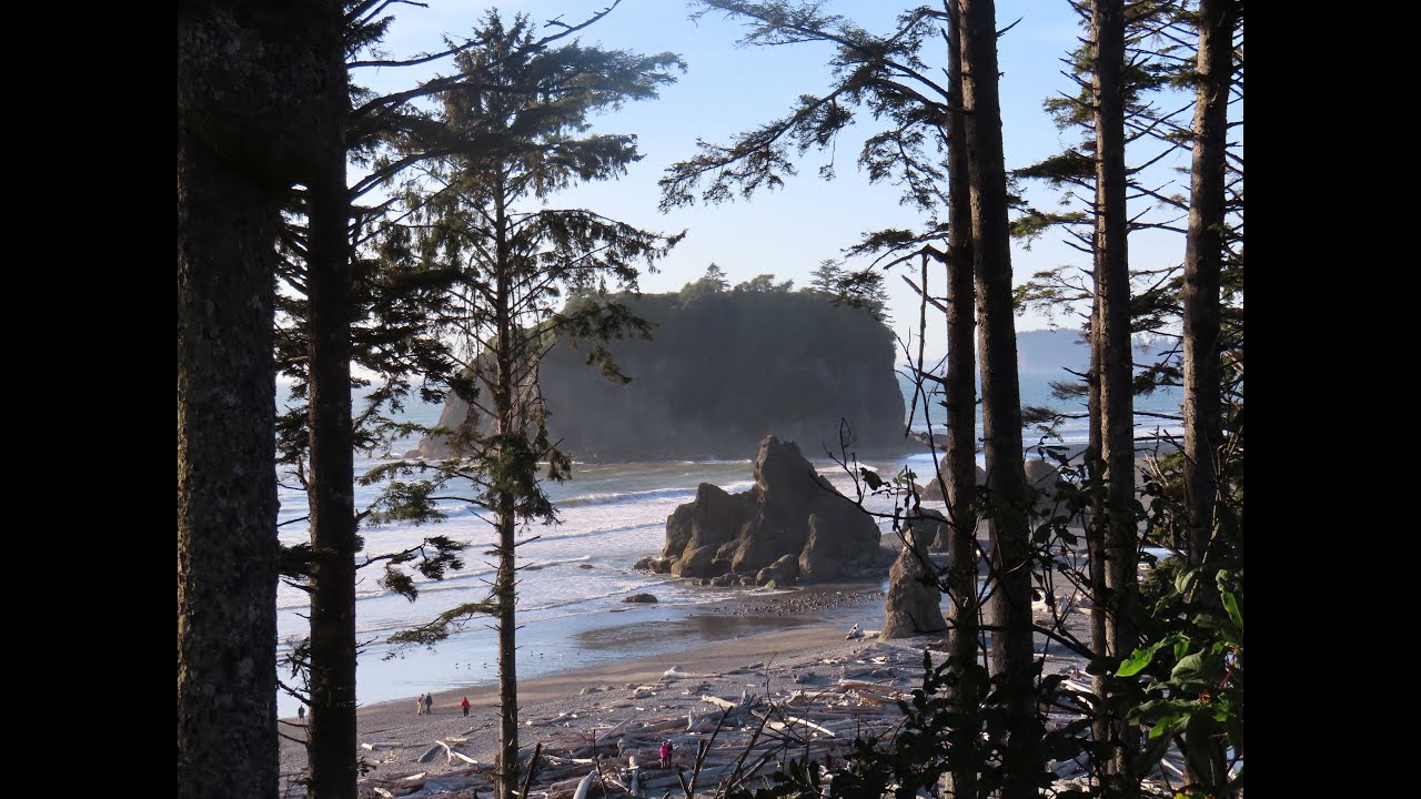 Olympic National Park-2023