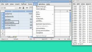 spreadsheet basics SORT COMMAND   1