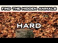 find the hidden animals - can you spot hidden animals | can you find hidden animals | Brain Games 4K