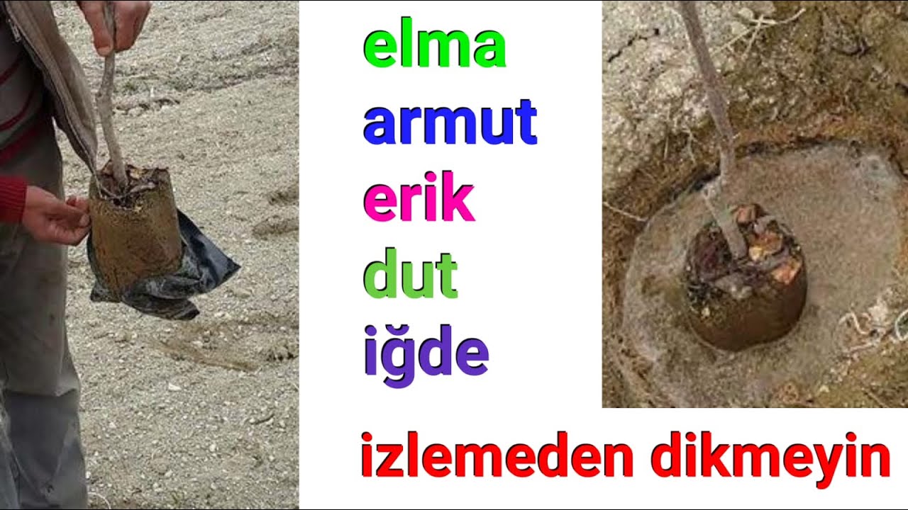 PARMAKLA GÖSTERİLECEK MEYVE BAHÇESİ İÇİN KAÇIRMAYIN