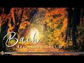 Bach  relaxing cello music