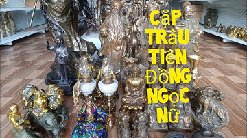 Cặp Trâu Tiên Đồng Ngọc Nữ _ Bình Đồng Hoa Mai _ Tượng Bác Hồ. Trưa 20/9#đồcổ #đồxưa #đồcũ #đồđồng