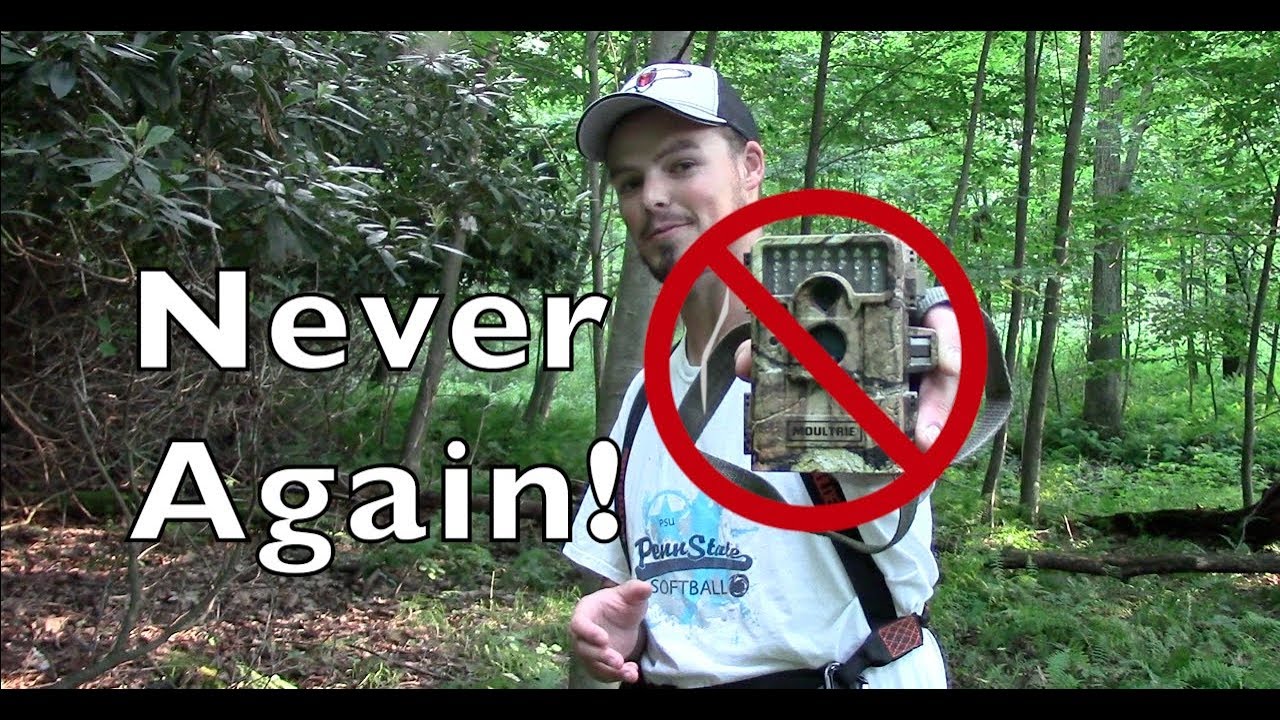 hiding a trail camera for security