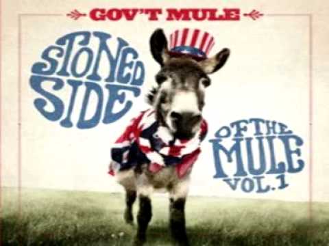Gov't Mule - Angie (Live)